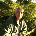 Dan Moskaly - @danmoskaly - Instagram