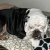 DANIELA - @dan.mott - TikTok