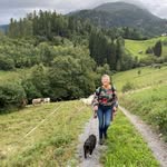 Dan Mottl - @danmottl - Instagram