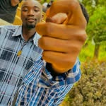 Dan Scott Moula - @danmoula - Instagram