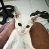 Jo ilo - @dan.mount7 - TikTok
