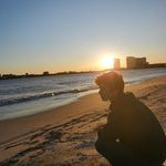 Daniel Mowen - @dan_mowen - Instagram