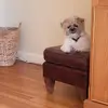 Dan Mowery - @dan.mowery6 - TikTok