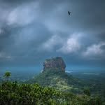 Dan Moyle - @dan_moyle - Instagram