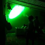 Daniele Muccio - @daniele_muccio - Instagram