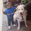 Dan.Maxemuck - @dan.maxemuck - TikTok