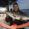 danmulcahey - @danmulcahey - TikTok