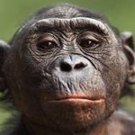 Dan Mulligan - @skyape19 - Instagram
