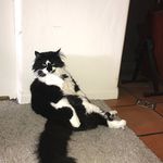 Dan Mulligan - @danmulligan4 - Instagram