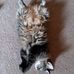 Dana Mulvaney - Facebook