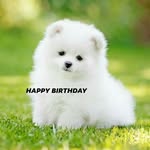 @danmummy_ - Instagram