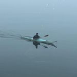 Dan Mundy - @jamaica_bay_ecowatchers - Instagram