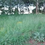 Dan Munene - @munene9496 - Instagram
