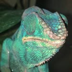 Dan Muni - @dan_mun9918 - Instagram