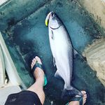 Dan Munsee - @danmunsee - Instagram