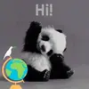 danmurariu827 - @danmurariu827 - TikTok