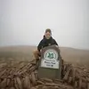 Daniel Murnane - @danielmurnane7 - TikTok