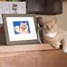 Dan Murphy - Facebook