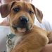 Dan Murrell - Facebook