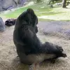 Dan M - @danmurtagh - TikTok