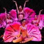 Music Hall And Dance Company - @musichallanddancecompany - Instagram