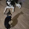 Dan Muth - @dan.muth - TikTok