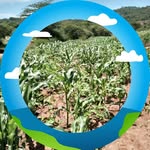 Dan Muthama - @dan.muthama.1 - Instagram