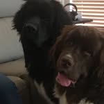 Dan Nance - @dan.nance_papa.fox - Instagram