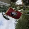 naplesdan - @naplesdan - TikTok