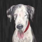 The Blind Gentle Giant🇵🇷🐾 - @dante.napoleon - Instagram