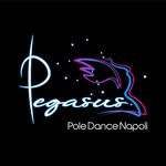 Pegasus Pole Dance Napoli - @pegasuspoledancenapoli - Instagram