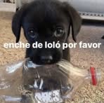 Dan Nascimento - Facebook