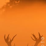 dan nault - @sdan39753 - Instagram