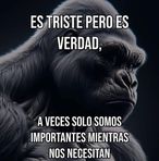 Dan Nava - Facebook