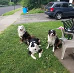 Dan Navarre - Facebook