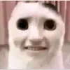DanNeedsHelp - @danneedshelp - TikTok