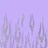 Dan Neff - @danneff7038 - TikTok