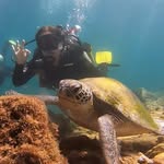 Dana Neiman - @dananeiman - Instagram