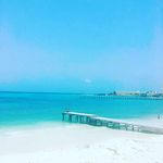 Daniel A Nelligan - @dannellic - Instagram