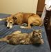 Dan Nelson - Facebook