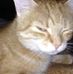 Dan Nelson - Facebook