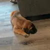 Braydan Neubauer - @braydanneubauer - TikTok