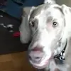 Dan Neumann27 - @danneumann27 - TikTok