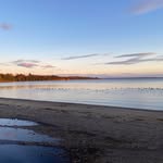 Dan Neumann - @ddn8172 - Instagram
