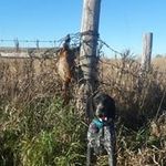 Dan Neumann - @danneumann27 - Instagram