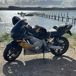 Dan Neumann - @danneumann1 - Instagram
