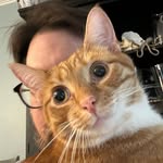 Dan Neumann - @neudanmann - Instagram