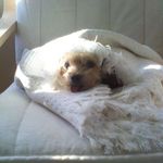 Dan Newberry - @dan.newberry.7 - Instagram