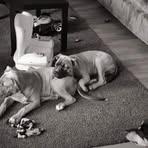 Dan Newbolds - Facebook