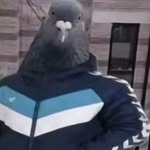 Daniel Newbold - @dan_14082000 - Instagram